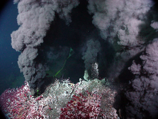 Illustration for article titled What Creates This Underwater "Smoke"?